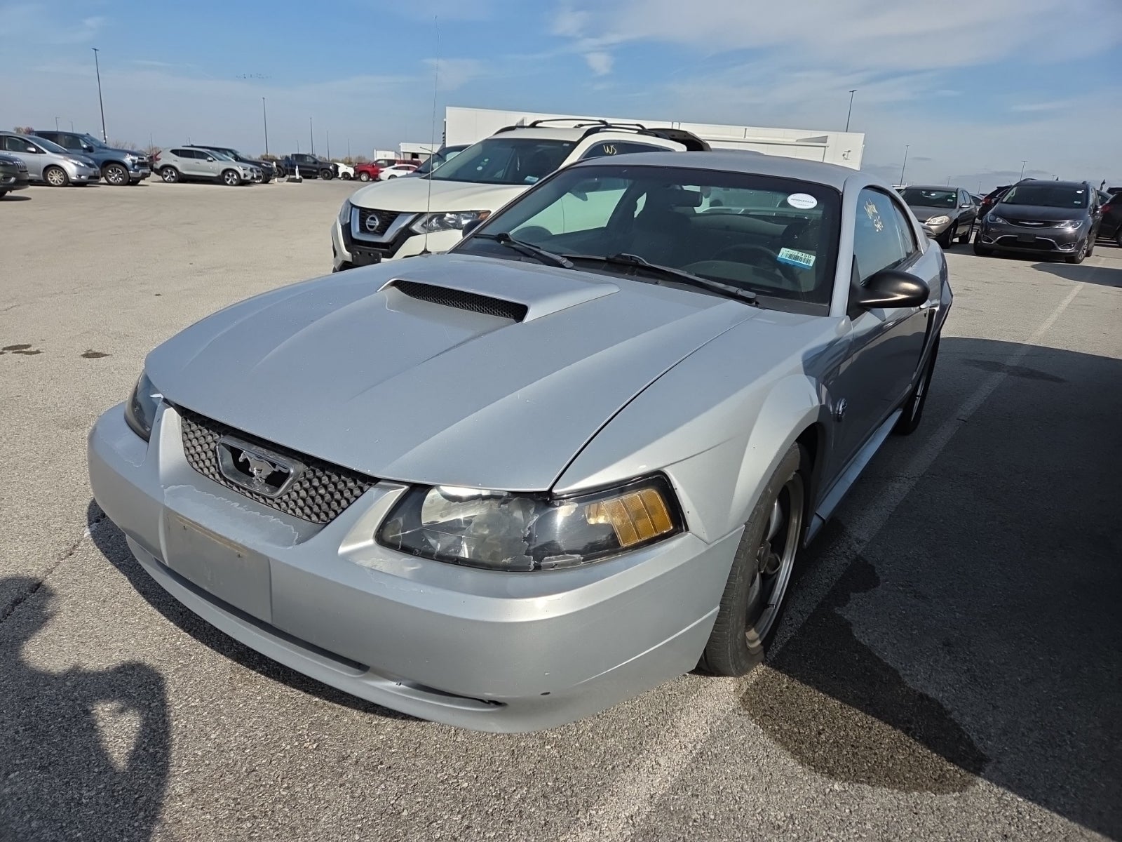 2004 Ford Mustang Standard