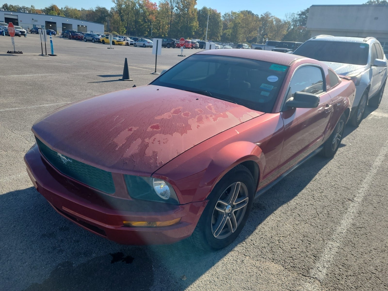 2008 Ford Mustang Deluxe
