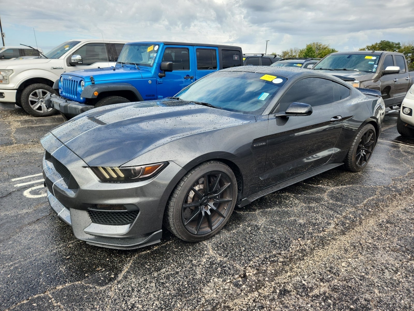 2017 Ford Shelby GT350 Shelby GT350
