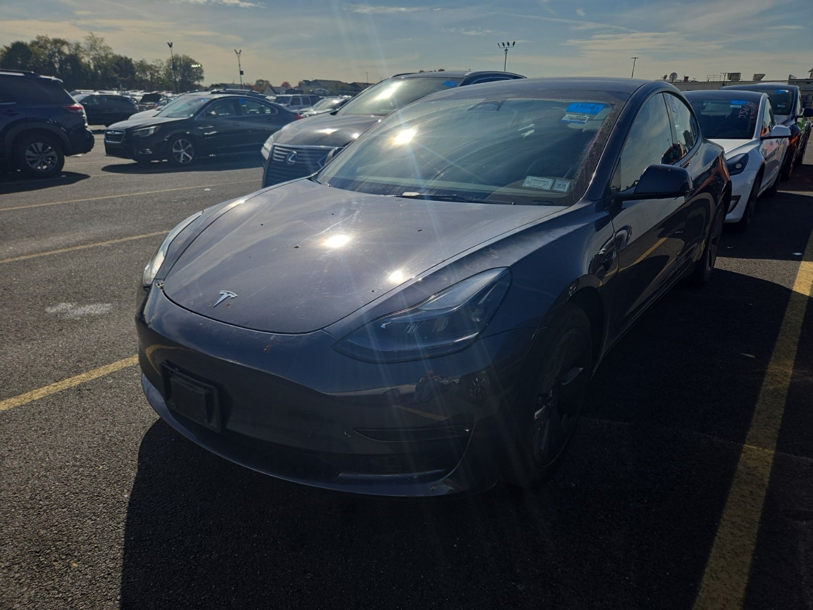2023 Tesla Model 3 Standard Range