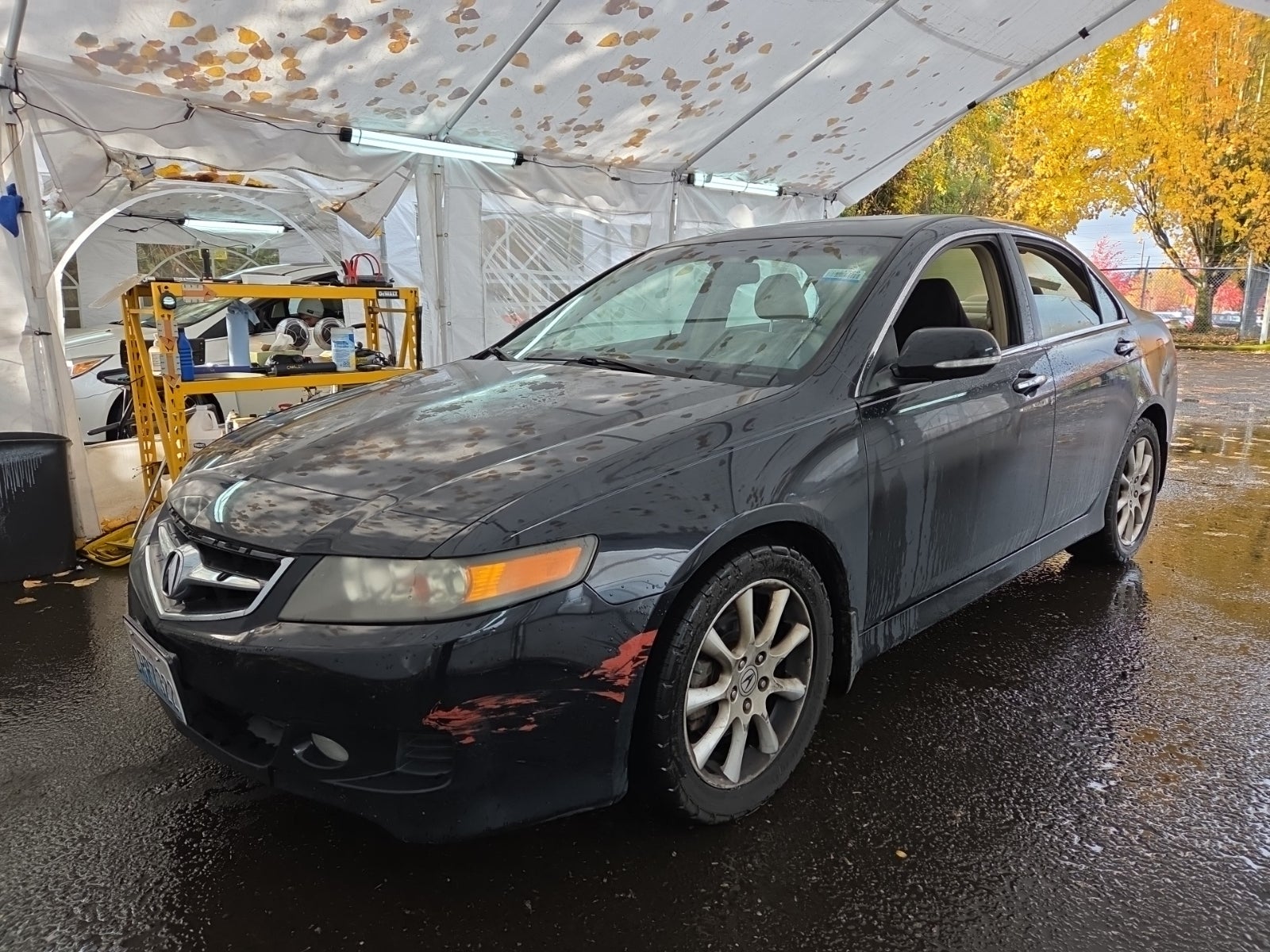 2008 Acura TSX Base