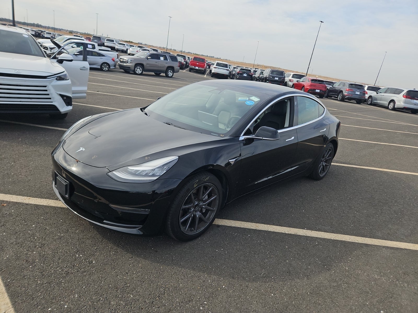 2020 Tesla Model 3 Standard Range Plus
