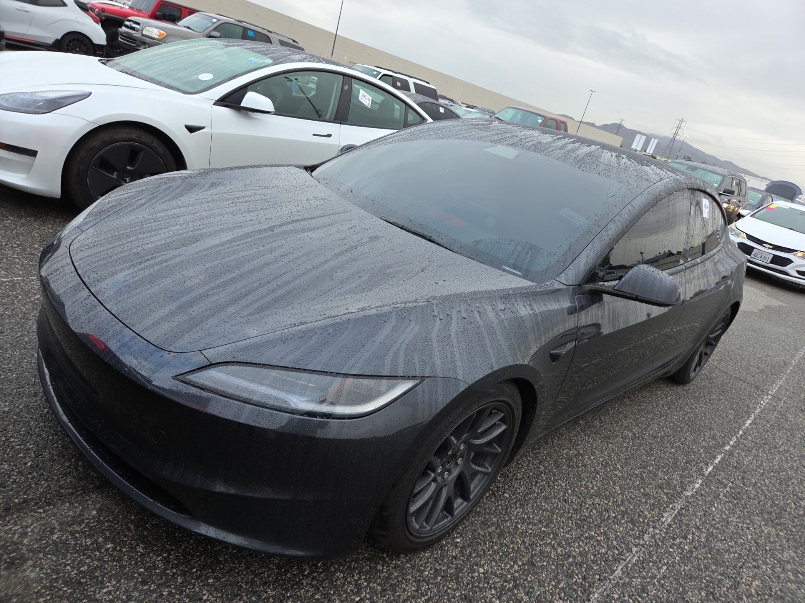 2025 Tesla Model 3 Long Range