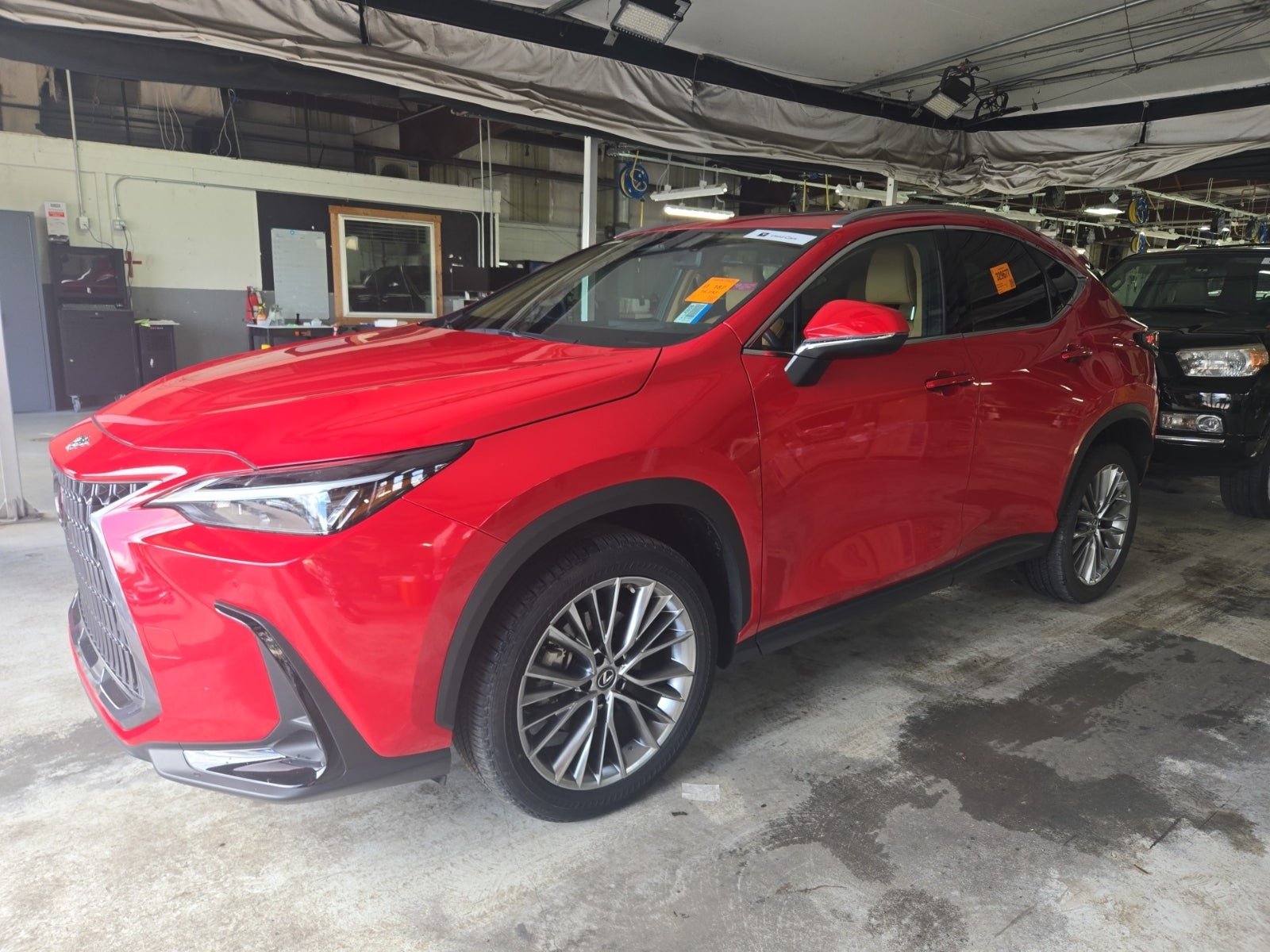 2022 Lexus NX 350h NX 350h Premium