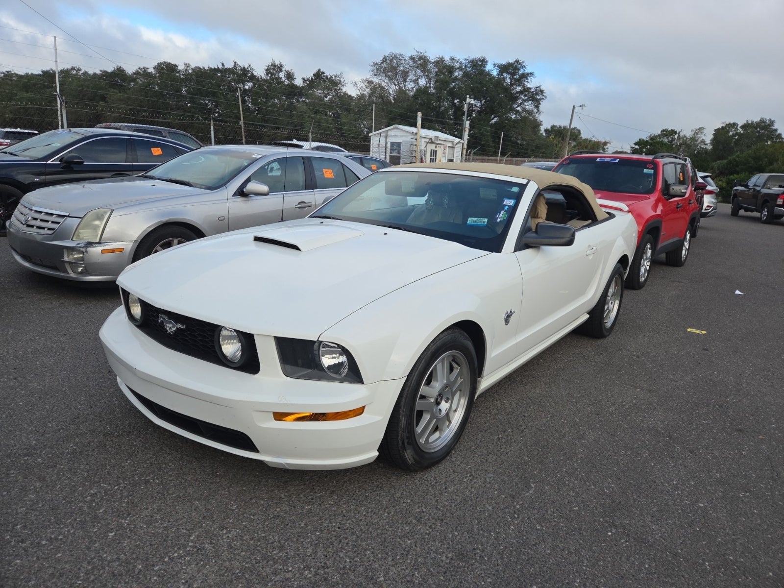 2009 Ford Mustang GT