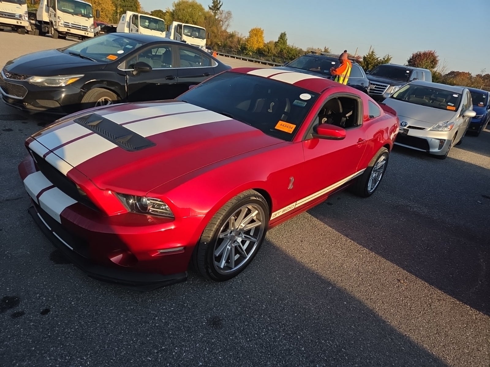 2013 Ford Shelby GT500 Shelby GT500
