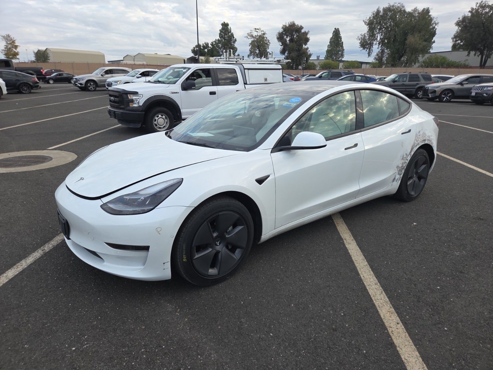 2022 Tesla Model 3 Standard