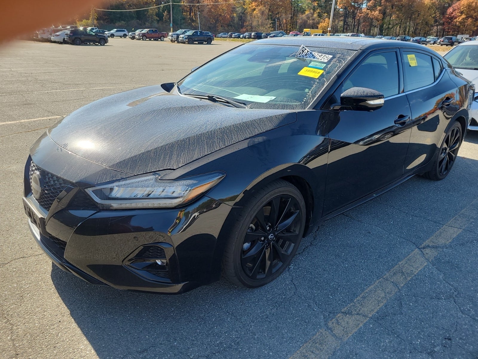 2023 Nissan Maxima SR
